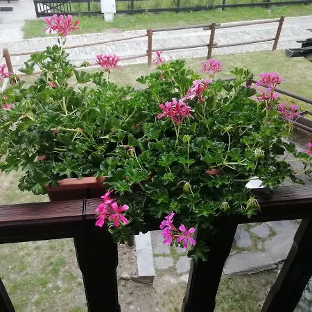 Maison Cenne Vda N 0030 *