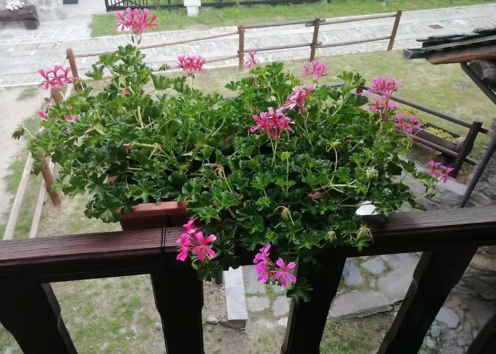 Maison Cenne Vda N 0030 *